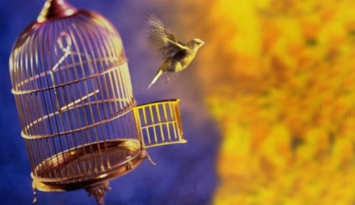 direito-humano-13-liberdade-para-mover